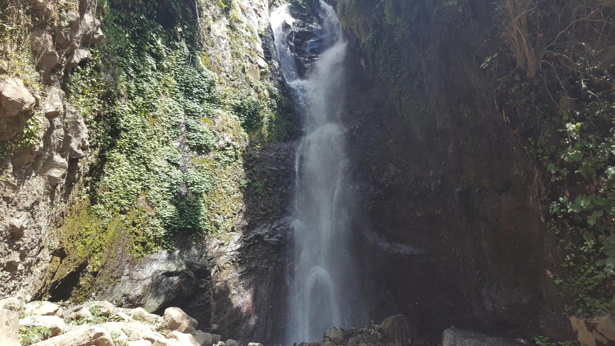 Gede'S Homestay เตจากูลา ภายนอก รูปภาพ